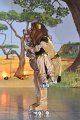Lionking 0237